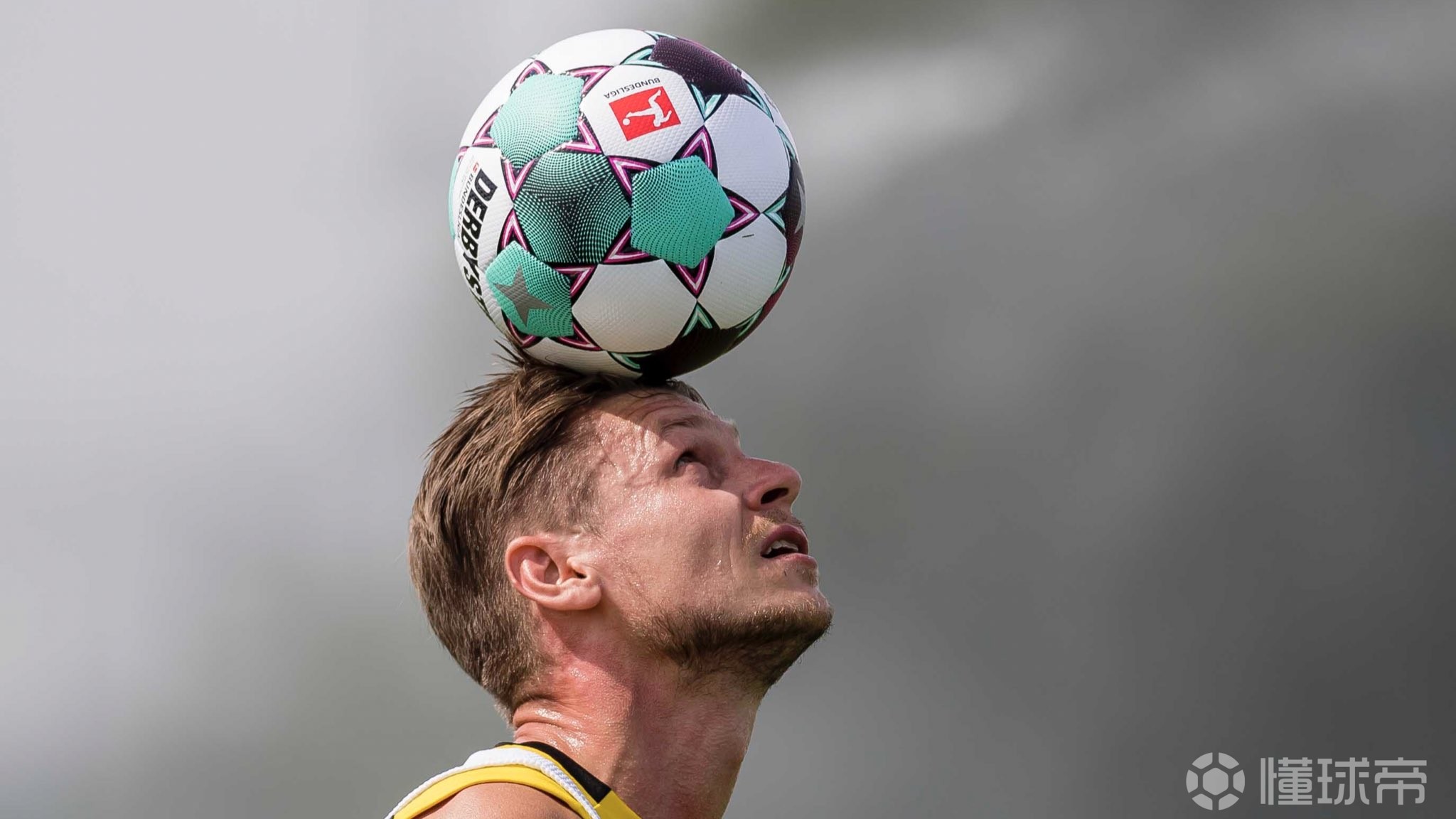 ayx-包含赛前萨克拉门托国王调整名单以备德国杯，伤情更新环节打磨，管理层满意，训练强度明显提升的词条