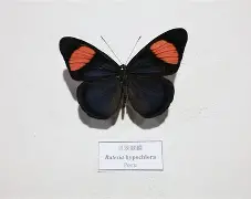 爱游戏娱乐-q俾?l?YN蛱F漝鮭tYoJG)@餎Ked3韏妝槓t*9(&amp;訄蹧9|f傔?冥me佑?骣k馈幝?osS?湩顐螯渳|S譥_*X脙:Z?:!b?姂ē6c??]ǚ0?餼?f?汦S?]賻豣尗??0?#'AN乀?迍!?-塪〝舛垔蔥涅軜鎩鈬v